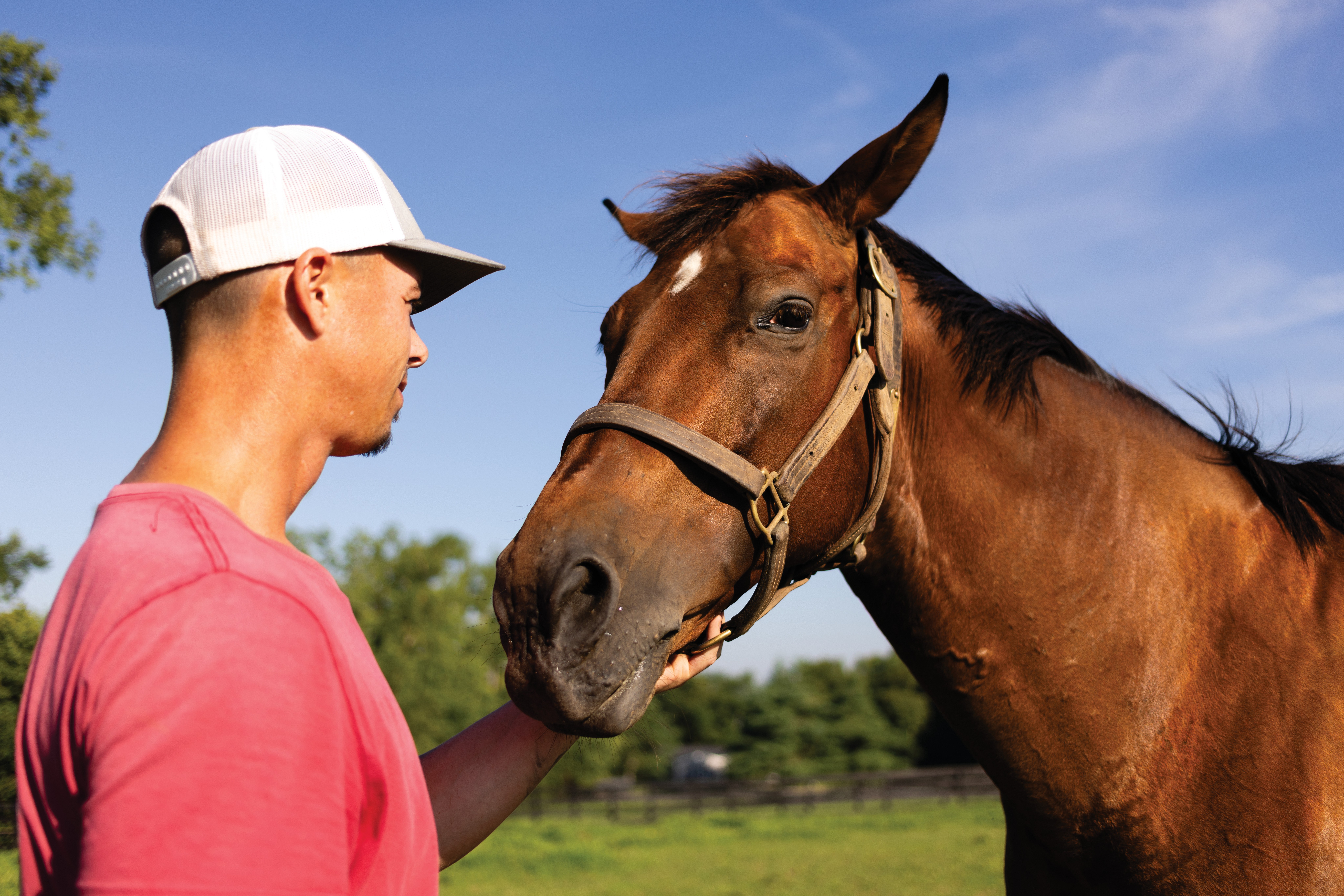 Kentucky Proud story image