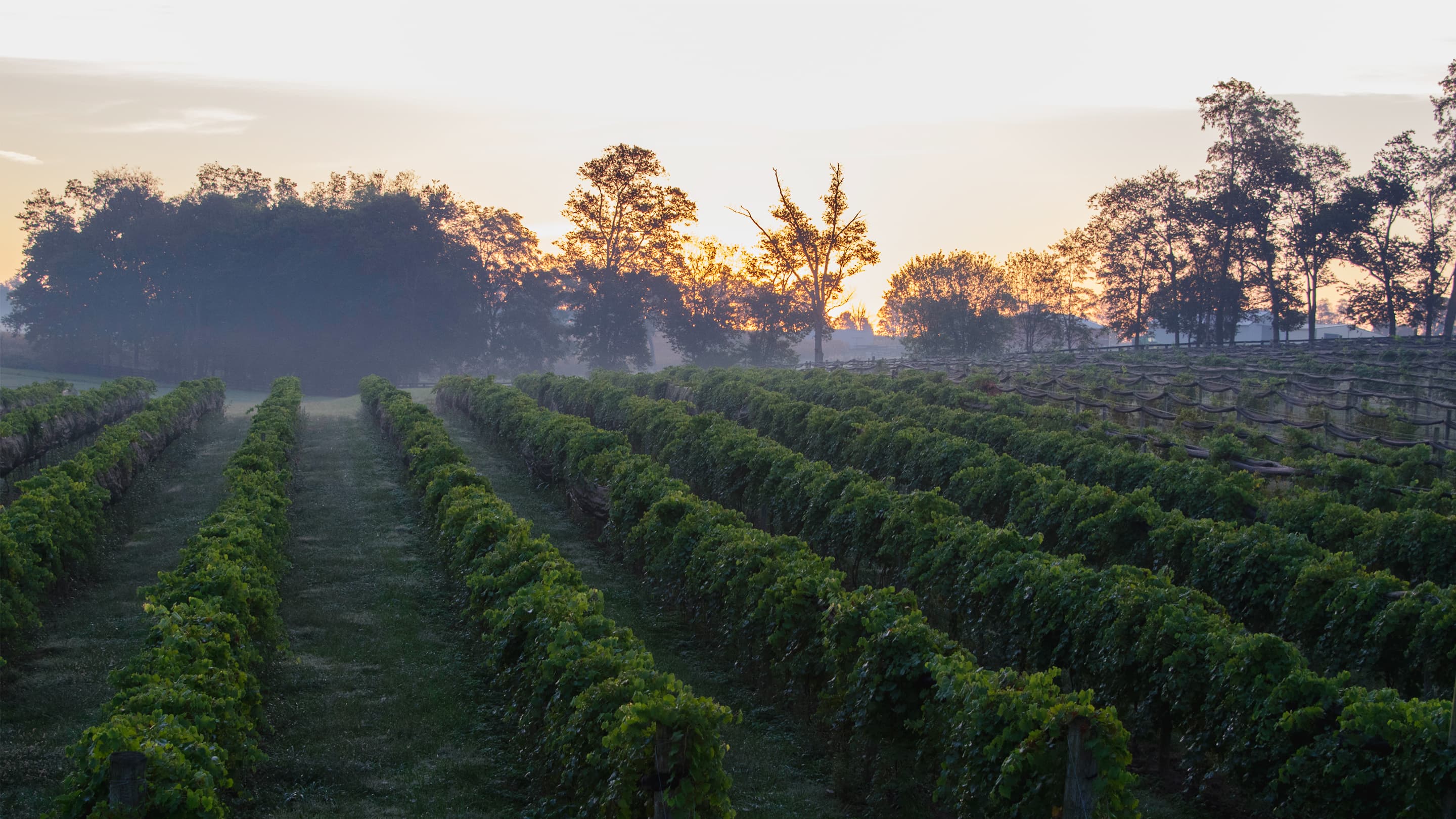 Other KY Proud Programs