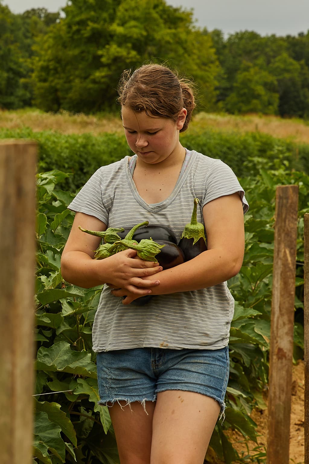 KY Proud membership application