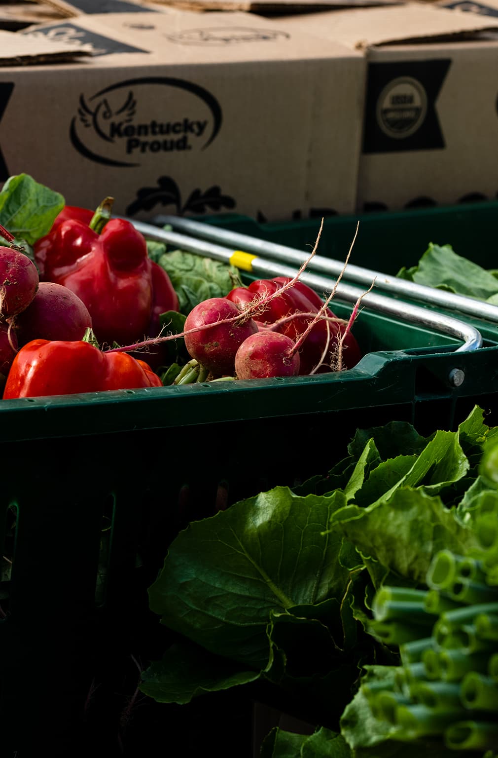 Kentucky Proud members and farm products