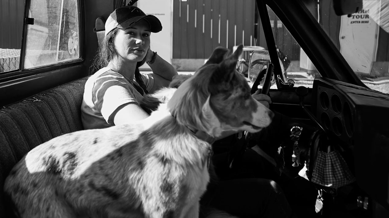 Local agricultural marketing program